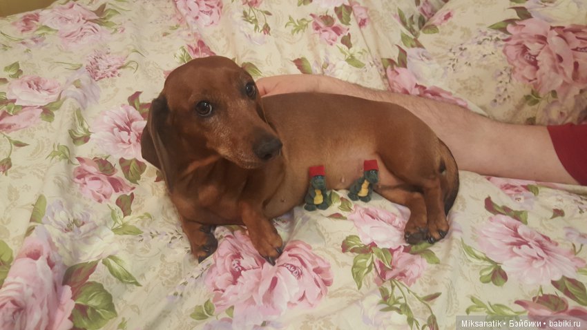 Как здорово, что все мы здесь сегодня собрались