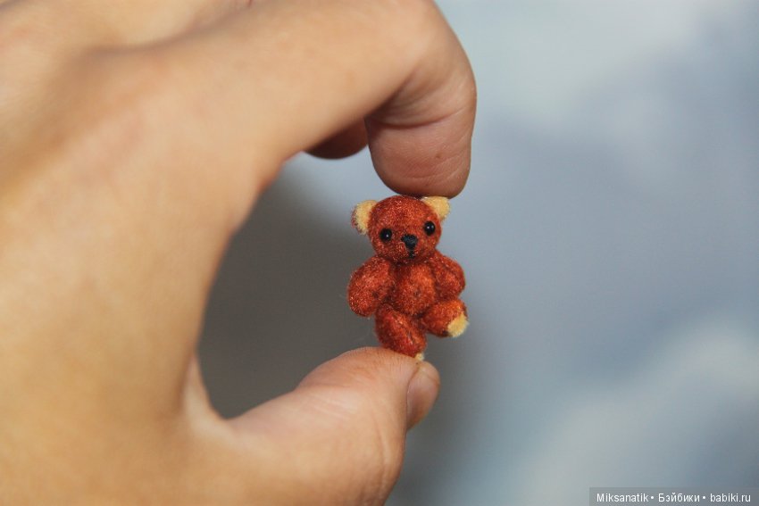 Маленькие мишки, ставшие большими друзьями