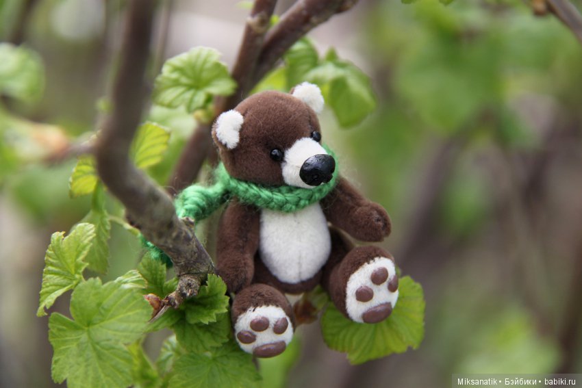 Маленькие мишки, ставшие большими друзьями