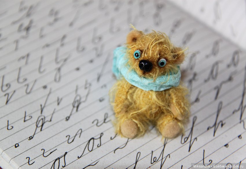 Маленькие мишки, ставшие большими друзьями