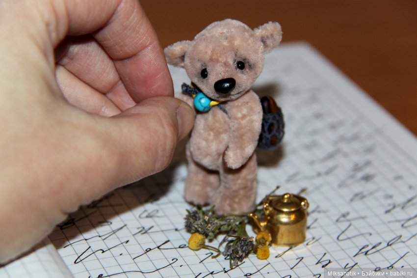 Маленькие мишки, ставшие большими друзьями