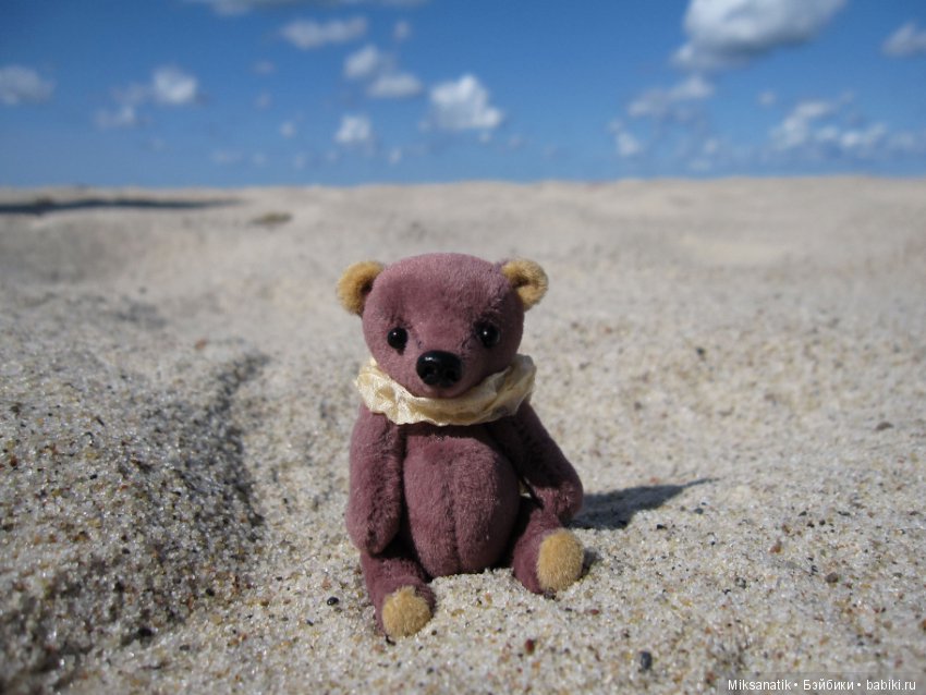 Маленькие мишки, ставшие большими друзьями