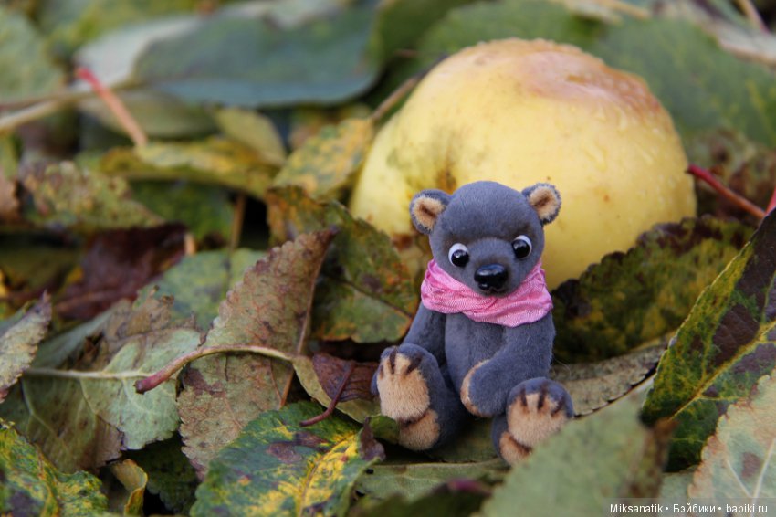 Маленькие мишки, ставшие большими друзьями