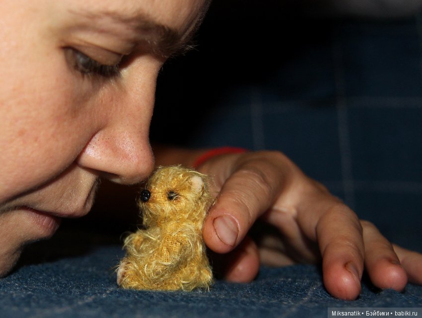 Маленькие мишки, ставшие большими друзьями (фото 2)