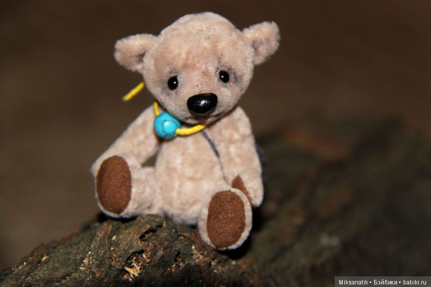 Маленькие мишки, ставшие большими друзьями