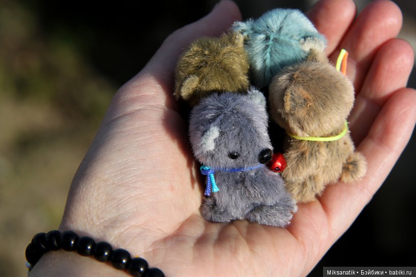 Маленькие мишки, ставшие большими друзьями