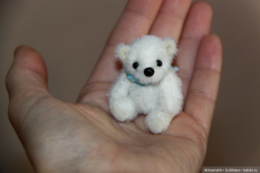 Маленькие мишки, ставшие большими друзьями (фото 4)