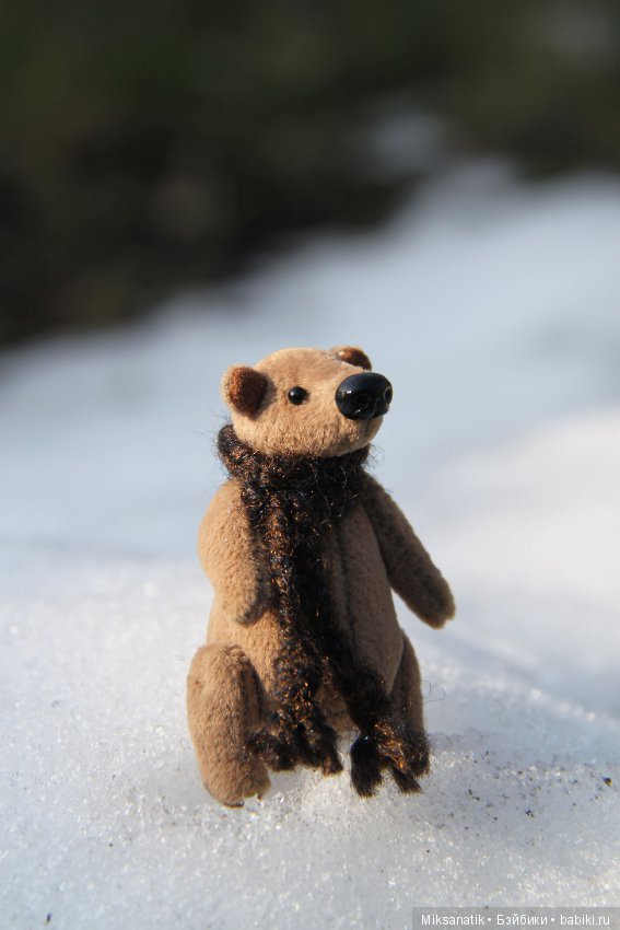 Маленькие мишки, ставшие большими друзьями