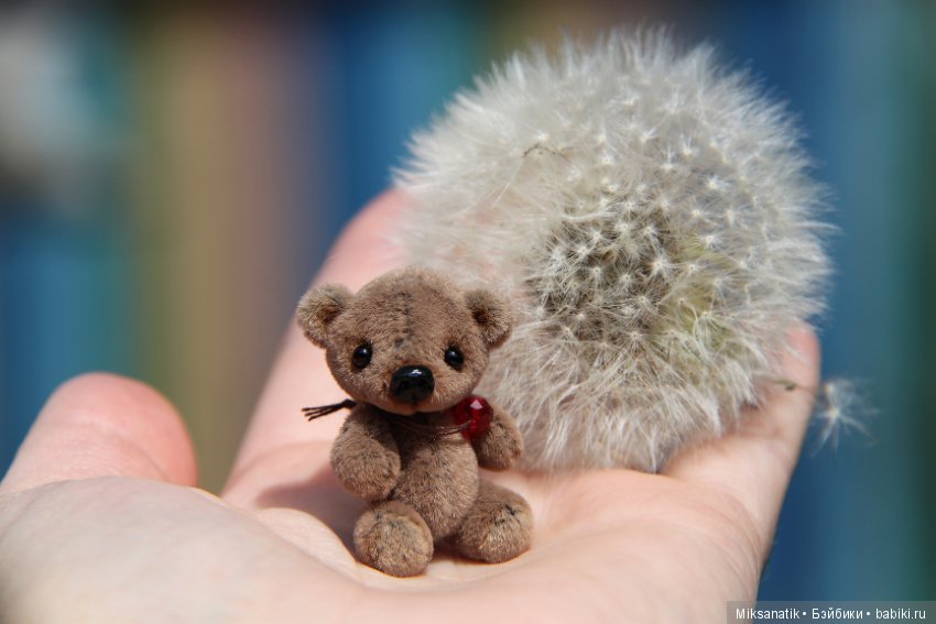 Маленькие мишки, ставшие большими друзьями