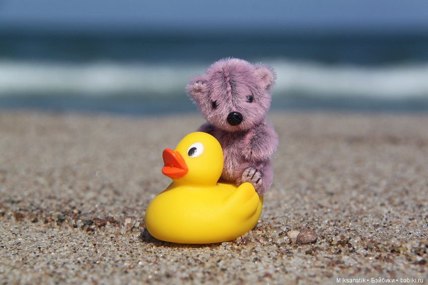 Маленькие мишки, ставшие большими друзьями