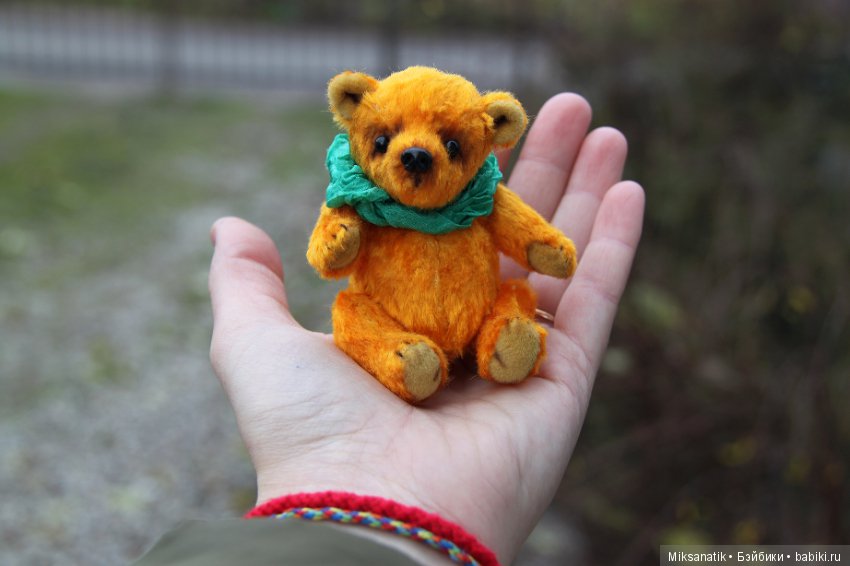 Маленькие мишки, ставшие большими друзьями