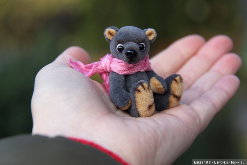 Маленькие мишки, ставшие большими друзьями