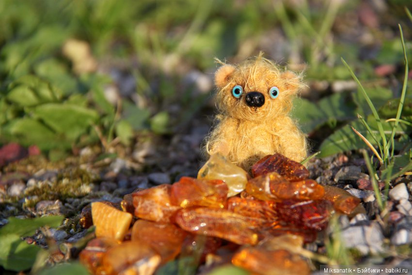 Маленькие мишки, ставшие большими друзьями