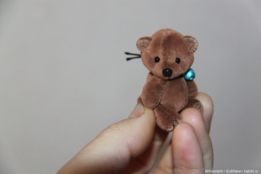 Маленькие мишки, ставшие большими друзьями (фото 6)