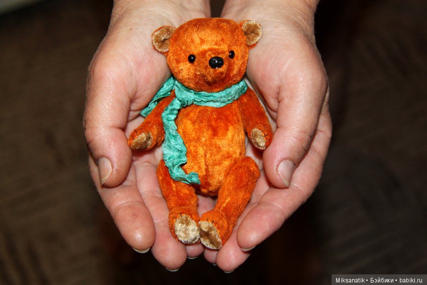 Маленькие мишки, ставшие большими друзьями