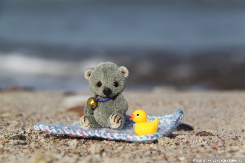 Маленькие мишки, ставшие большими друзьями