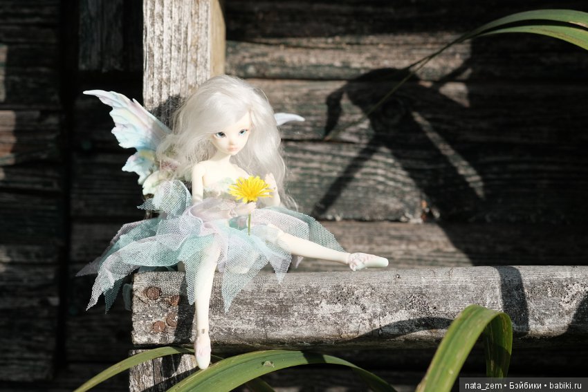 Из жизни бабочек — Куклы Dollzone (Доллзон): BJD (БЖД) (фото 7)