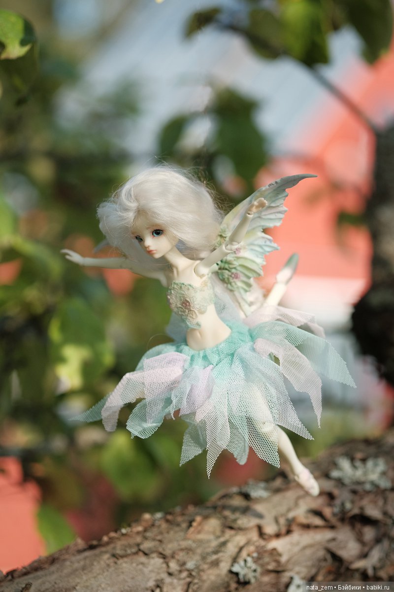 Из жизни бабочек — Куклы Dollzone (Доллзон): BJD (БЖД)
