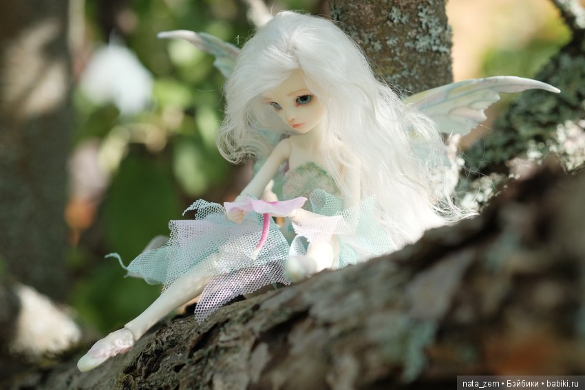 Из жизни бабочек — Куклы Dollzone (Доллзон): BJD (БЖД) (фото 3)