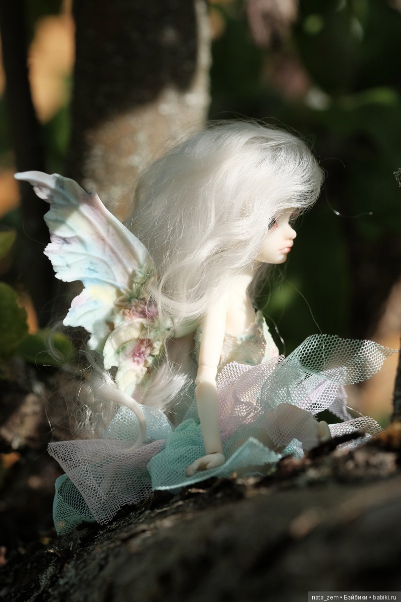 Из жизни бабочек — Куклы Dollzone (Доллзон): BJD (БЖД)