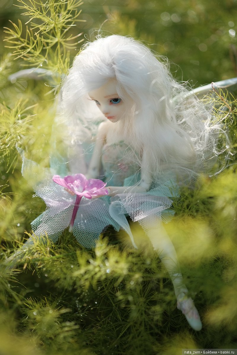 Из жизни бабочек — Куклы Dollzone (Доллзон): BJD (БЖД) (фото 4)