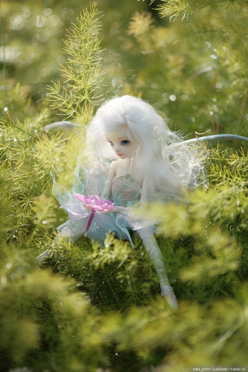 Из жизни бабочек — Куклы Dollzone (Доллзон): BJD (БЖД) (фото 5)