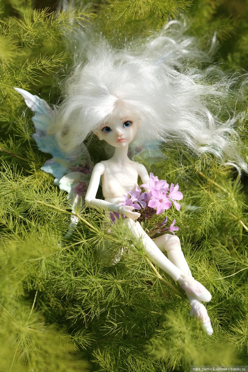 Из жизни бабочек — Куклы Dollzone (Доллзон): BJD (БЖД)