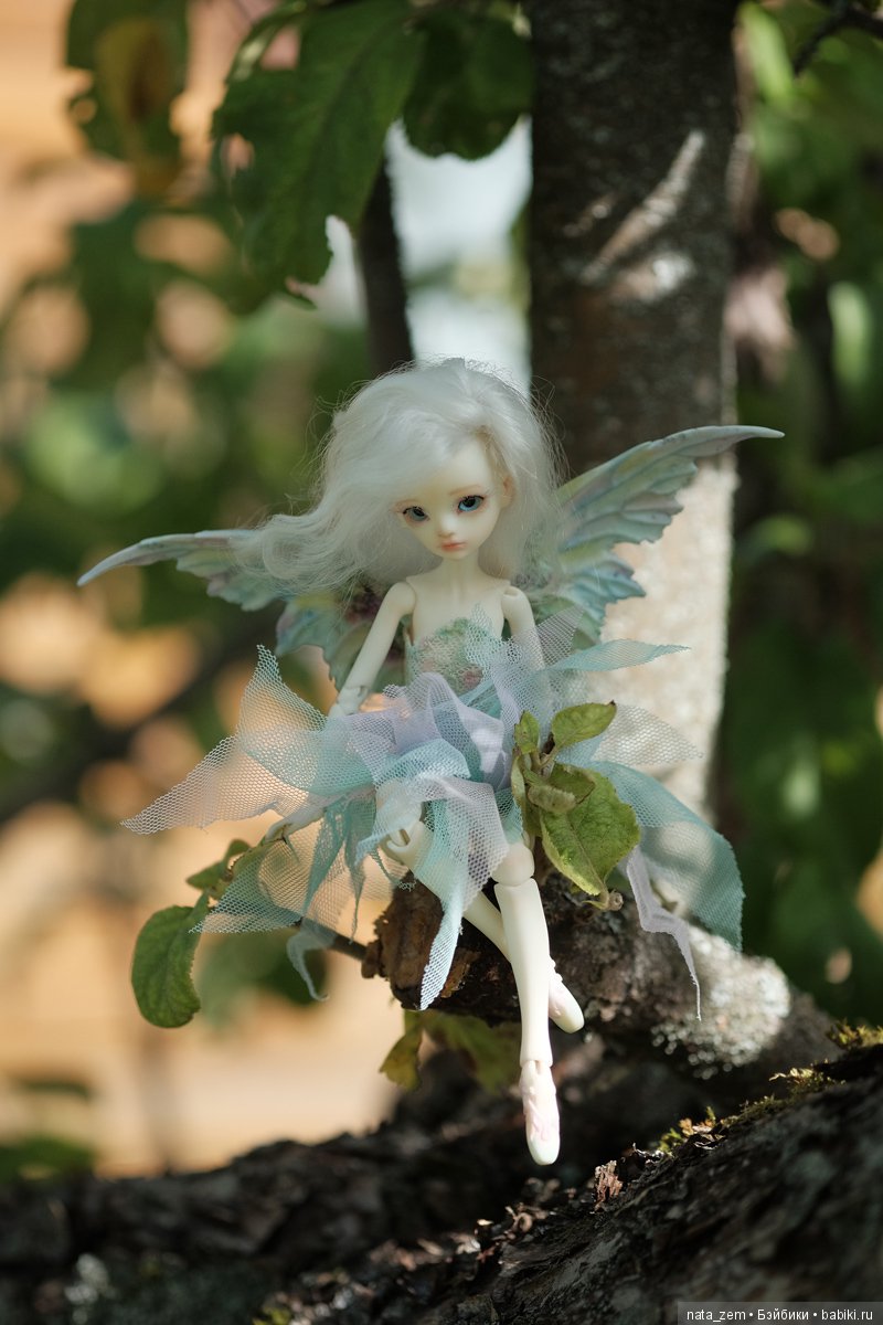 Из жизни бабочек — Куклы Dollzone (Доллзон): BJD (БЖД)