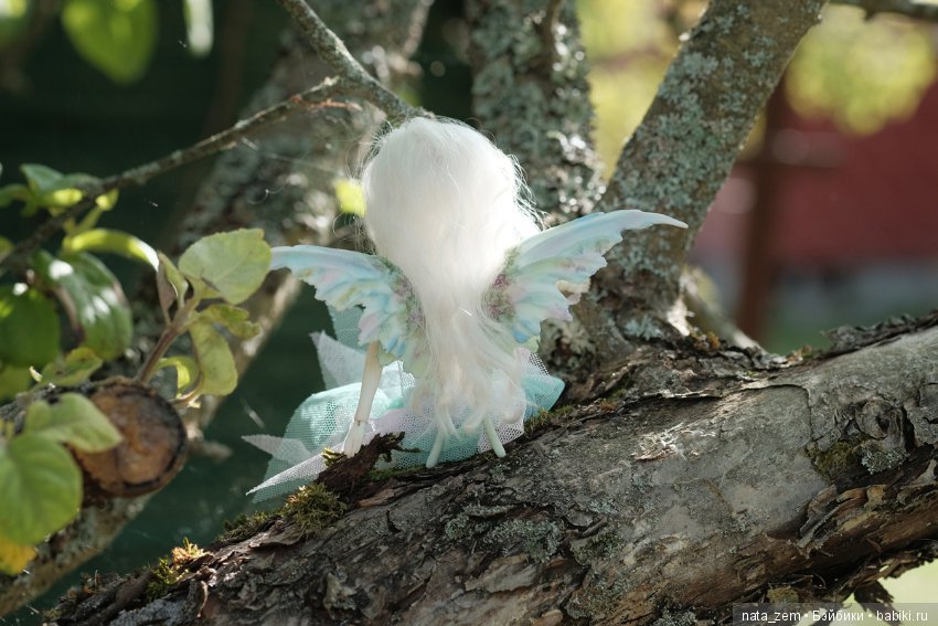 Из жизни бабочек — Куклы Dollzone (Доллзон): BJD (БЖД) (фото 9)