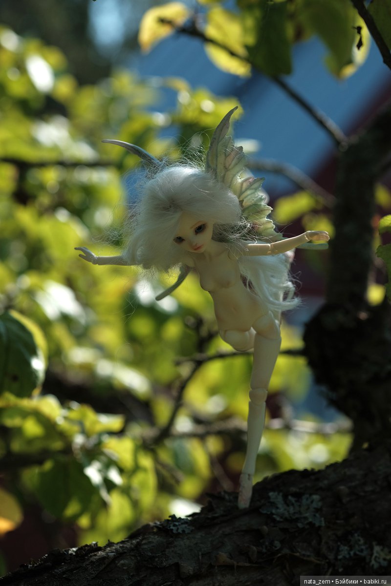 Из жизни бабочек — Куклы Dollzone (Доллзон): BJD (БЖД)