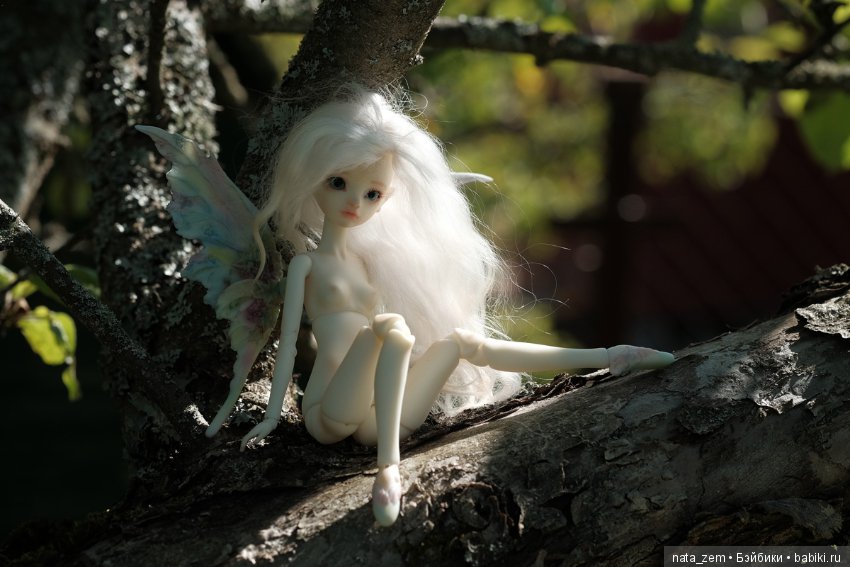 Из жизни бабочек — Куклы Dollzone (Доллзон): BJD (БЖД)