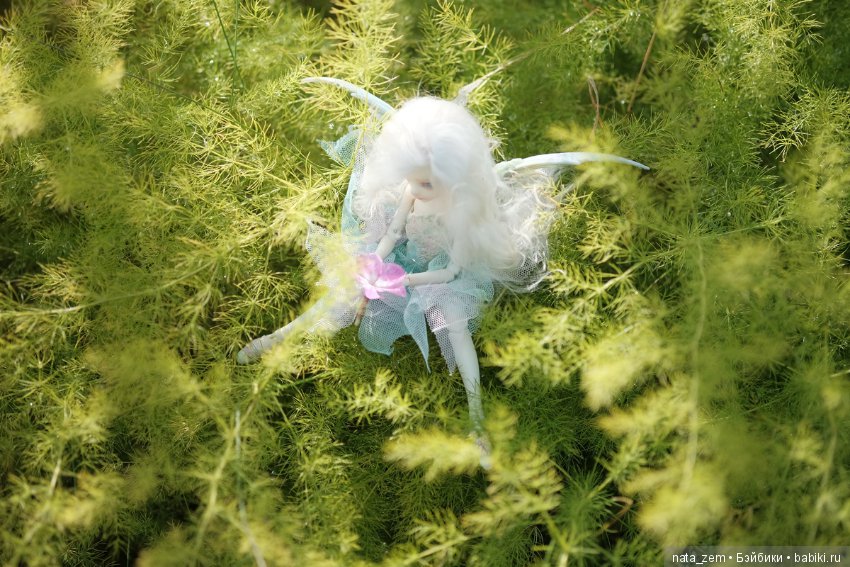 Из жизни бабочек — Куклы Dollzone (Доллзон): BJD (БЖД) (фото 6)