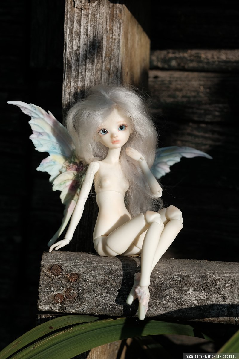 Из жизни бабочек — Куклы Dollzone (Доллзон): BJD (БЖД)
