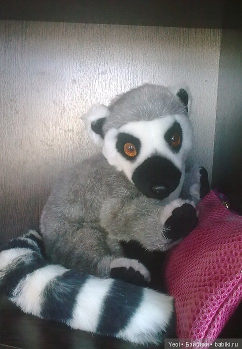 Зверюшки, которые нравятся (фото 7)