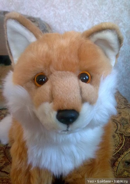 Зверюшки, которые нравятся (фото 5)