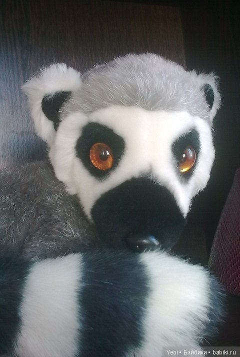 Зверюшки, которые нравятся (фото 8)