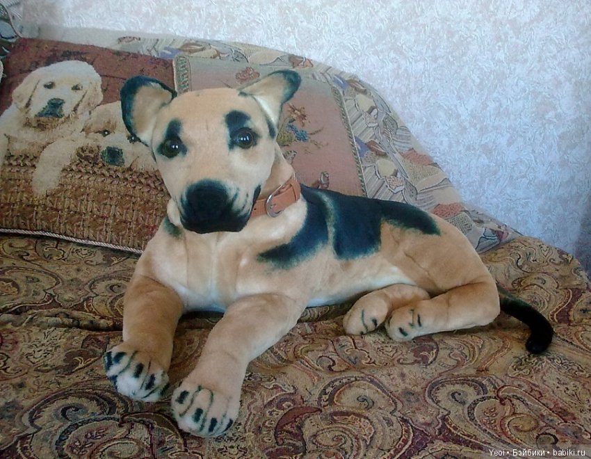 Зверюшки, которые нравятся (фото 2)