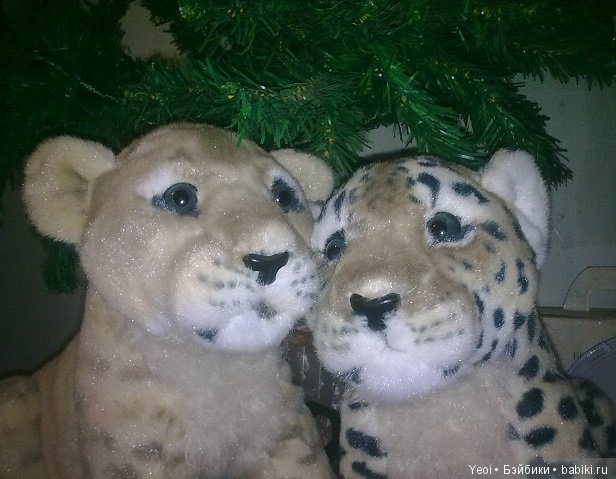 Зверюшки, которые нравятся (фото 9)