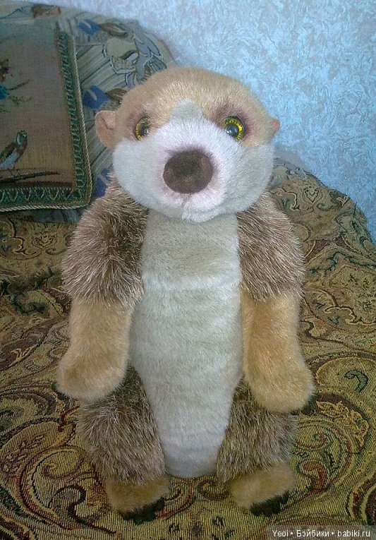 Зверюшки, которые нравятся (фото 6)