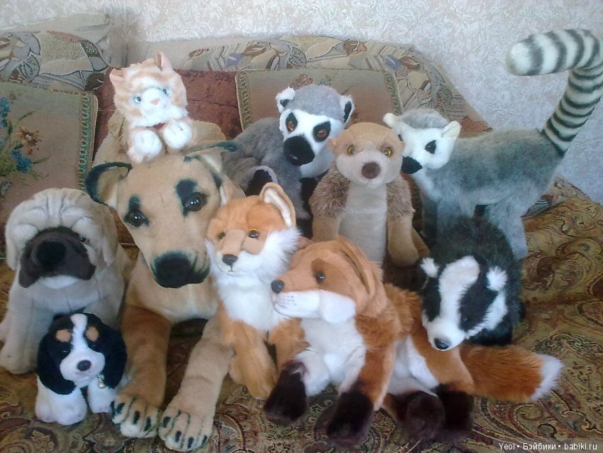 Зверюшки, которые нравятся