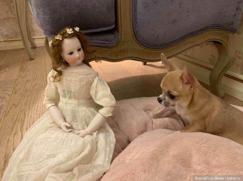 Лили. Привет из нового дома. Прекрасное на ночь