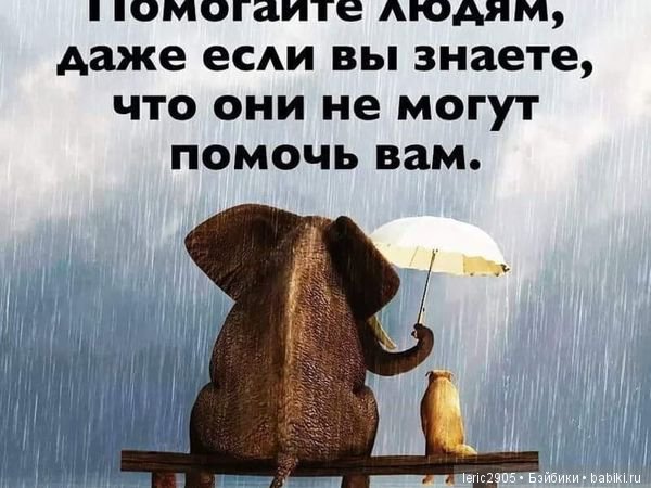 Бейбики, как семья! Спасибо (фото 3)