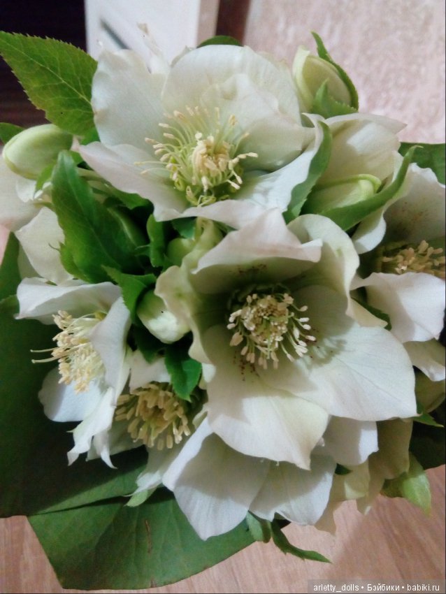 Зайка и сочинские цветочки (фото 2)