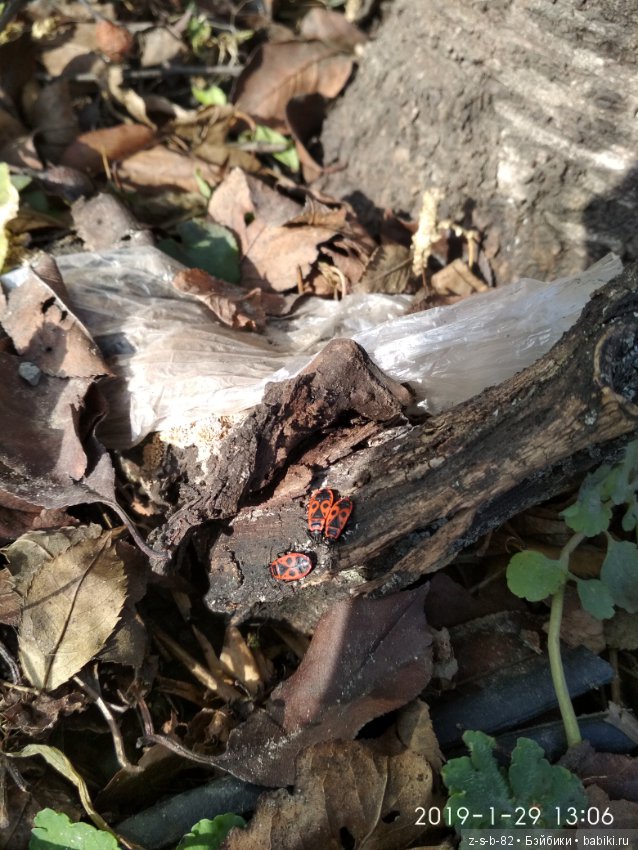 Какой хороший день — ООАК и репейнт игровых кукол: Bratz