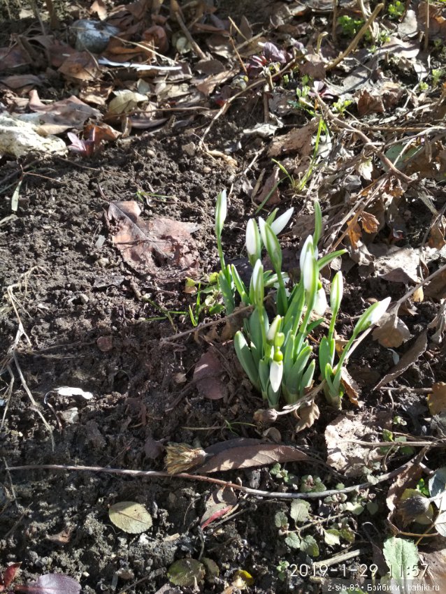 Какой хороший день — ООАК и репейнт игровых кукол: Bratz (фото 4)