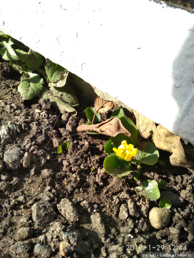 Какой хороший день — ООАК и репейнт игровых кукол: Bratz