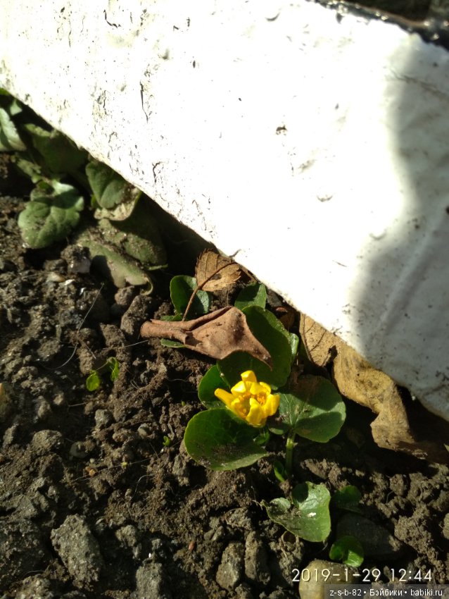 Какой хороший день — ООАК и репейнт игровых кукол: Bratz