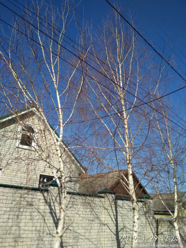 Какой хороший день — ООАК и репейнт игровых кукол: Bratz