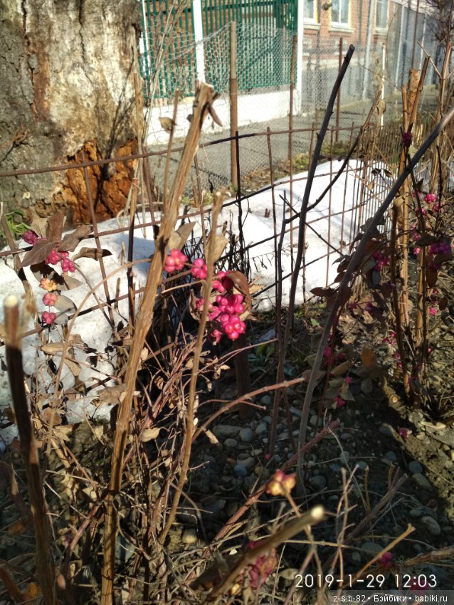 Какой хороший день — ООАК и репейнт игровых кукол: Bratz