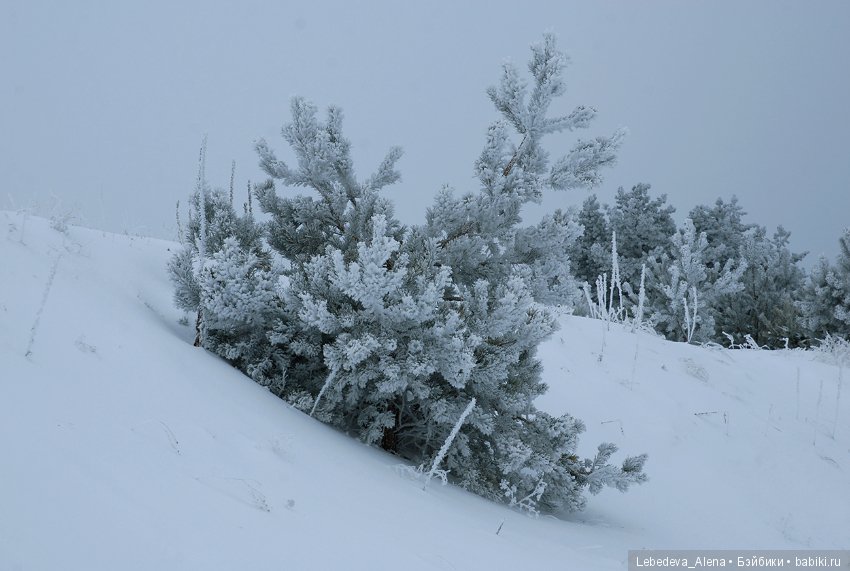 Марта и красивости — Фотоистории с куклами BJD (БЖД): сериалы
